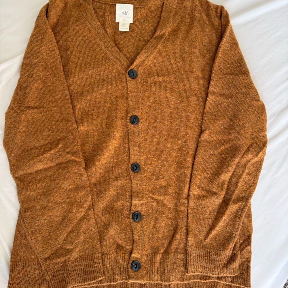 H&M (L.O.G.G.) rust/camel knit cardigan